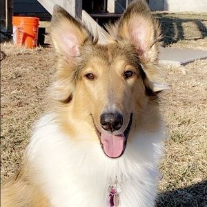 Meet your Posher, Alexis